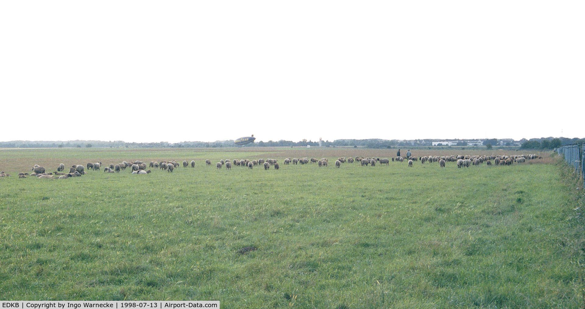 Bonn-Hangelar Airport, Sankt Augustin Germany (EDKB) - the airfield mowing and fertilizing team (i.e. herd of sheep) in action, but well away from the runway