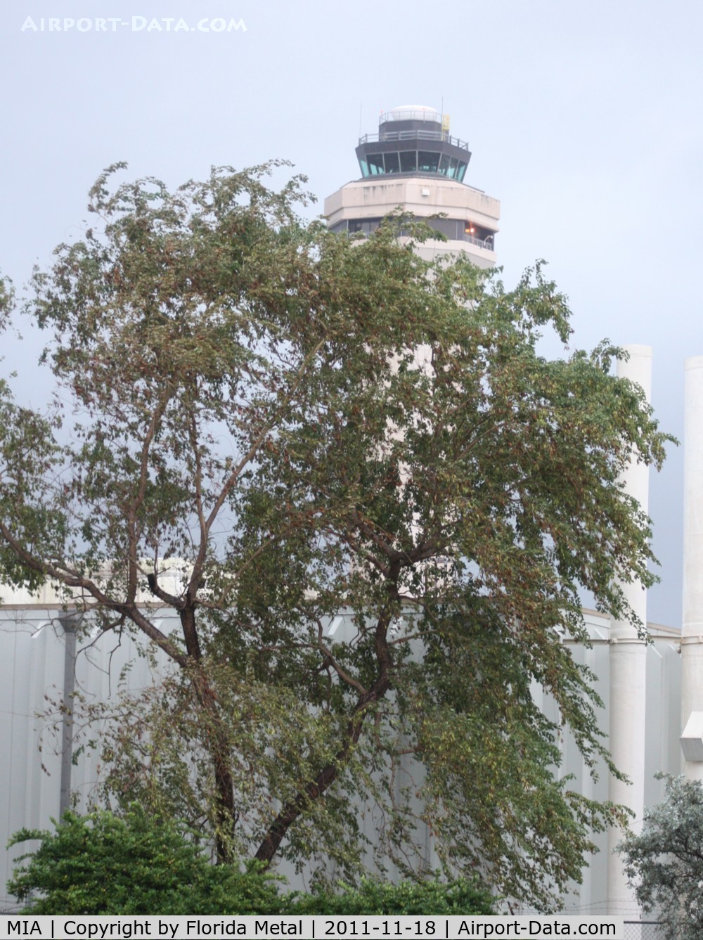 Miami International Airport (MIA) - Miami tower peaking behind trees from 25th St photo holes