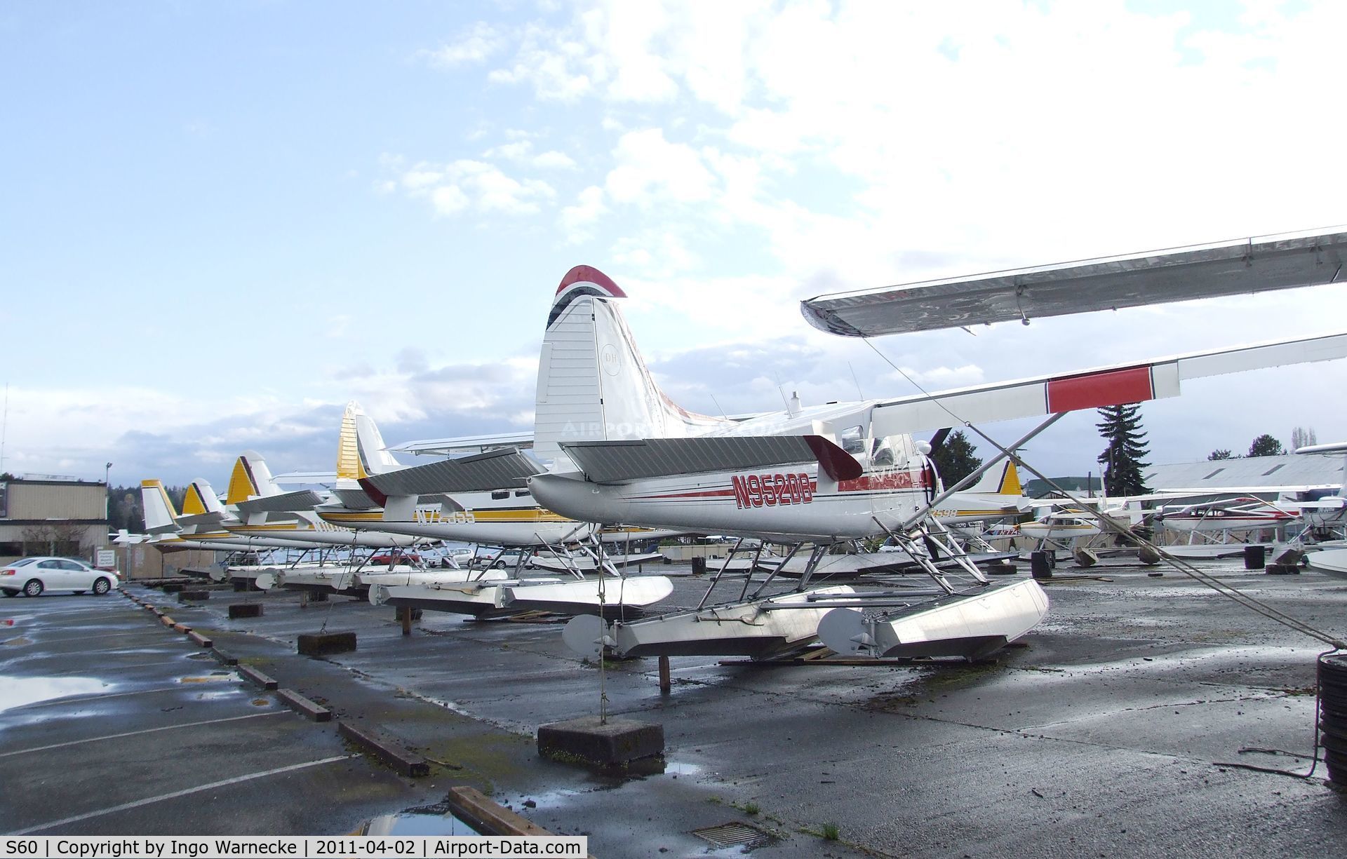 Kenmore Air Harbor Inc Seaplane Base (S60) - lots of floatplanes at Kenmore Air Harbor