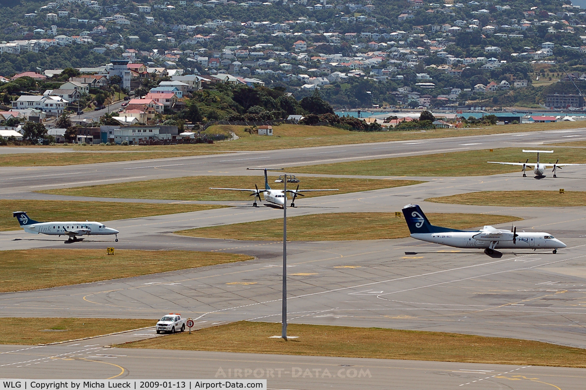 Wellington International Airport, Wellington New Zealand (WLG) - Busy day for Air NZ regionals