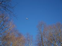 Chester Airport (SNC) - A jerk from Chester almost hitting the trees, never reaching 500ft, and as usual barely clearing the trees - by Gene Bartholomew, get ready for a visit from the FAA 
