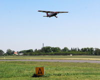 Dessau Airport - View to Dessau airport runway - by Holger Zengler