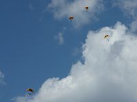 Lakeland Linder Regional Airport (LAL) - Army parachute team - by Bob Simmermon