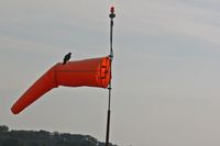 Anoka County-blaine Arpt(janes Field) Airport (ANE) - Bird sitting on the windsock - by Timothy Aanerud