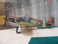 X5US Airport - Model of Mustang Mk 1 painted to represent AG522 of 613 (City of Manchester) Squadron RAF based at Ringway, Manchester in 1942 - by Chris Hall
