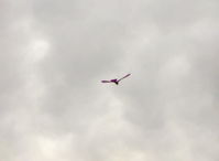 Santa Paula Airport (SZP) - David's RC drone Ornithopter, the faster the wings flap, the higher the rate of climb - by Doug Robertson