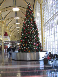 Ronald Reagan Washington National Airport (DCA) - Christmas tree at National Airport - by Ronald Barker