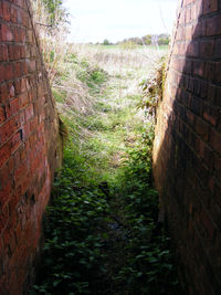 X4SR Airport - view Type B fighter pen from the shelter at RNAS Stretton - by Chris Hall