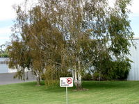 Santa Paula Airport (SZP) - Posted: No Dogs Allowed on Grass - by Doug Robertson