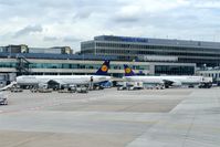 Frankfurt International Airport, Frankfurt am Main Germany (EDDF) - Two A321 at terminal 2... - by Holger Zengler