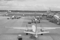 Amsterdam Schiphol Airport, Haarlemmermeer, near Amsterdam Netherlands (EHAM) - Overview of the platform of Schiphol in 1980 with Friendships: a FH-227B of DAT in the foreground and F27s of NLM Cityhopper behind - by Van Propeller