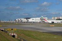 Singapore Changi Airport, Changi Singapore (WSSS) - Lots of SQ tails - by Micha Lueck