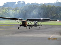 Ardmore Airport, Auckland New Zealand (NZAR) - two bird dogs in from display - by magnaman