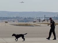 Boise Air Terminal/gowen Fld Airport (BOI) -  Boise Police explosive detection dog training on the commercial ramp. - by Gerald Howard